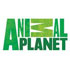 Animal Planet